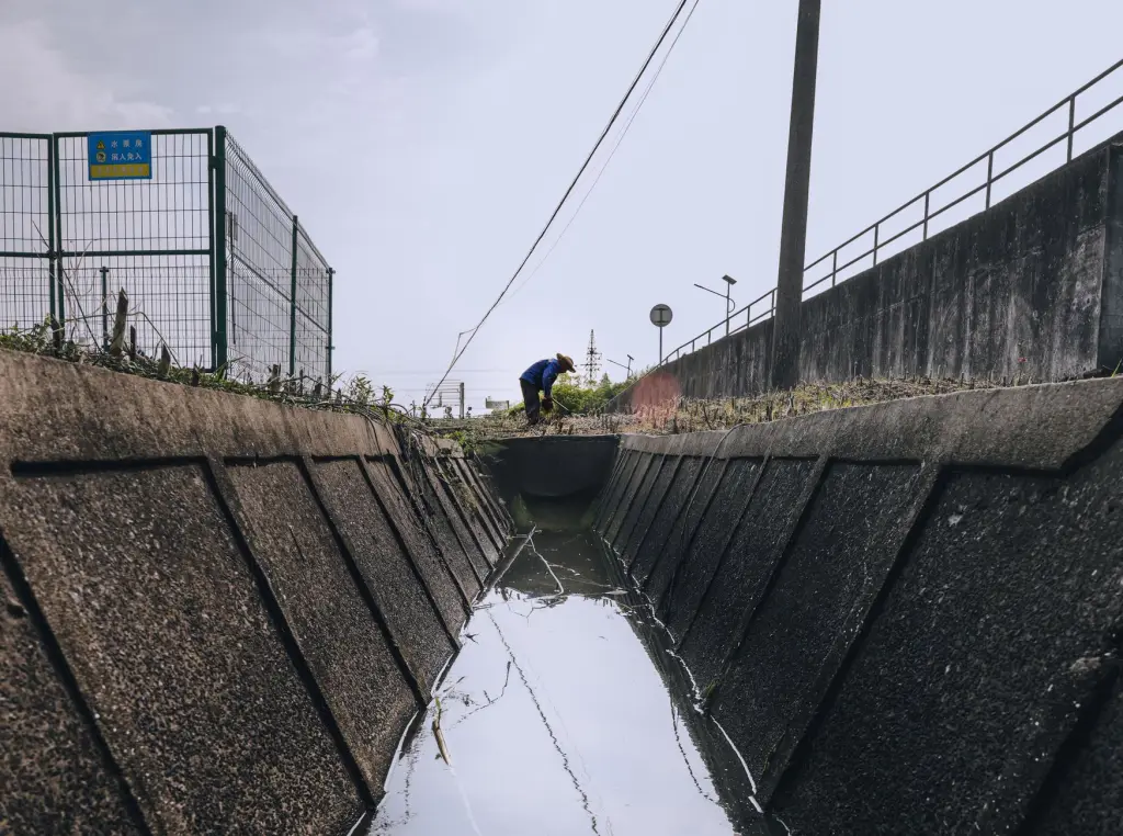 成都灵格多语种课程体系对比：英日韩法德培训方案解析