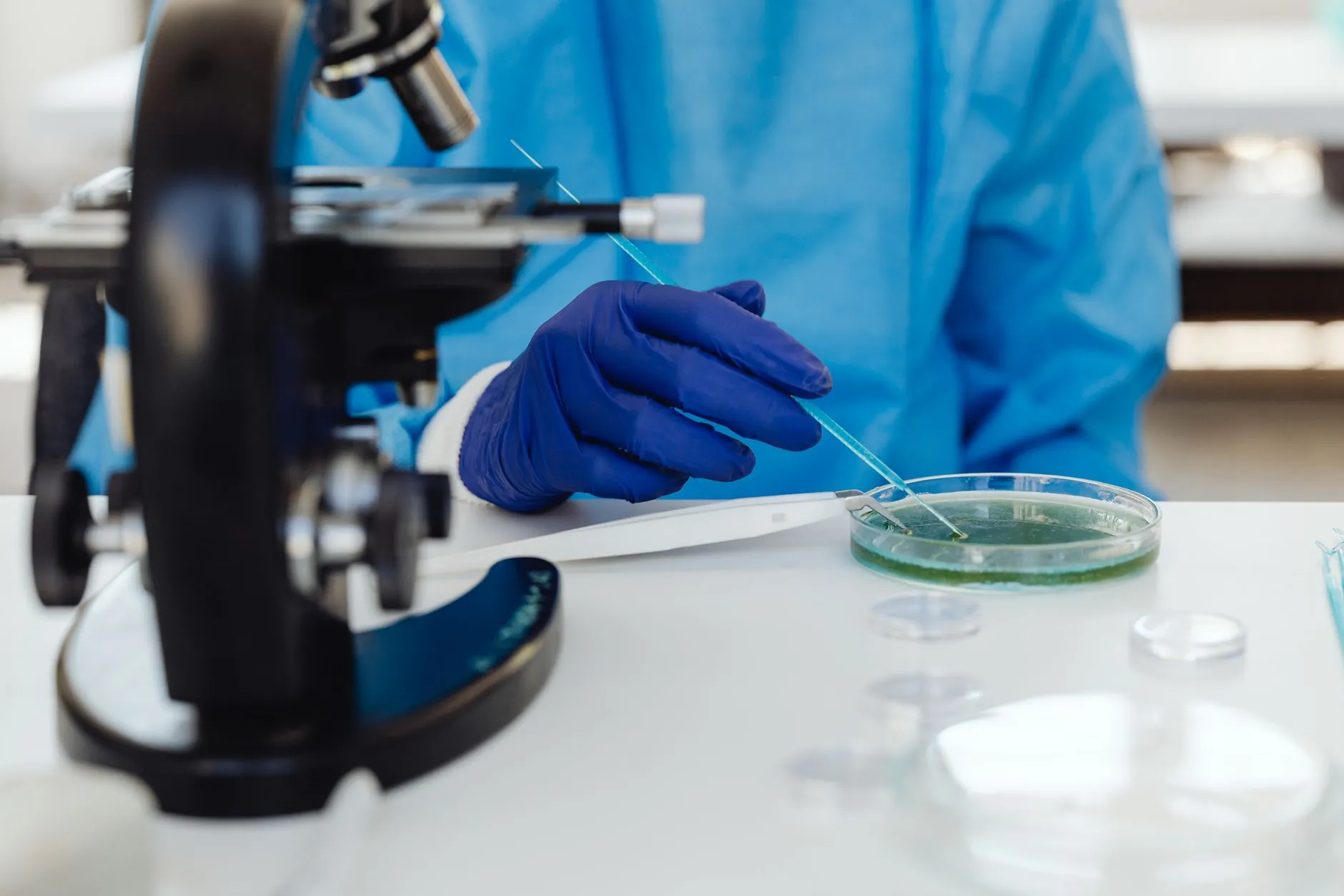 多语种语言培训课程体系设计与教学效果评估方法