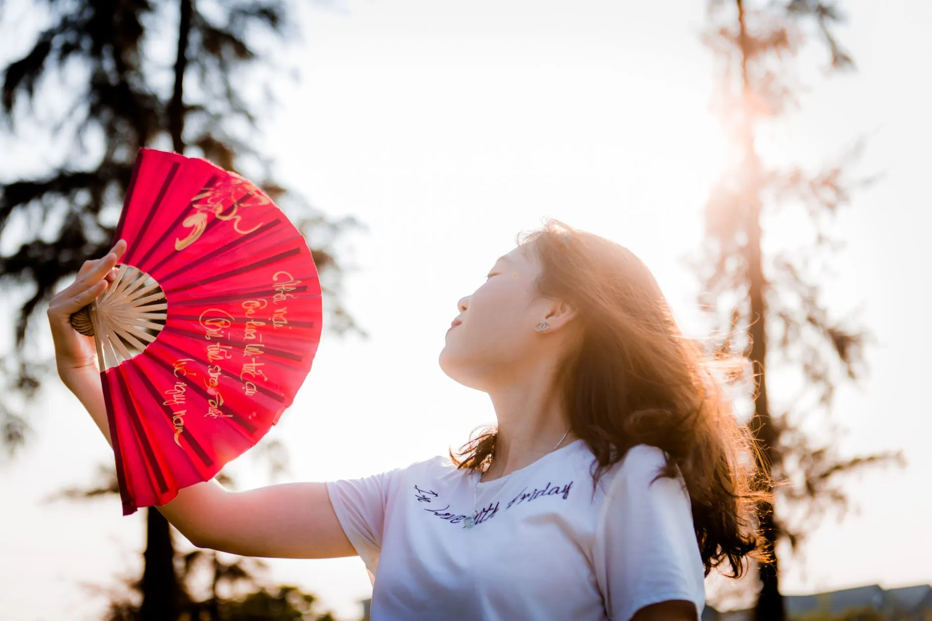 2024年成都地区职场人士日语培训课程选择与学习路径分析
