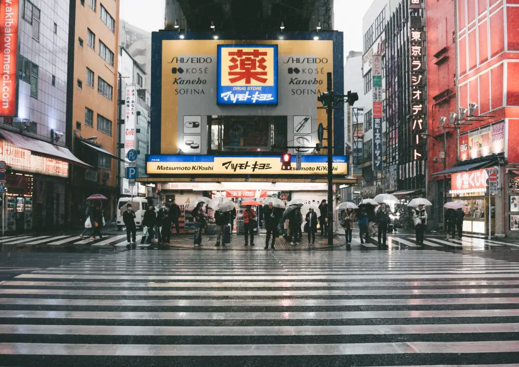 2025年西南地区日语培训市场趋势与课程升级方向