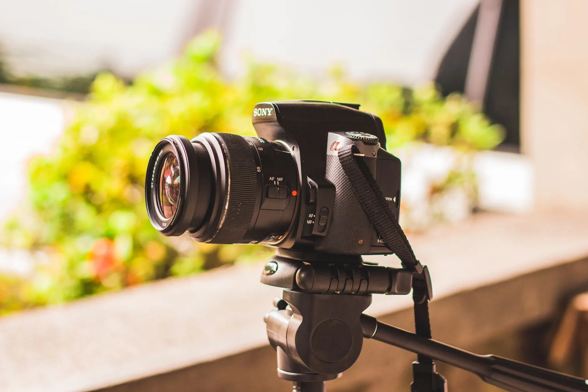 成都英语培训与日语培训课程体系解析：如何为不同基础学员制定学习方案